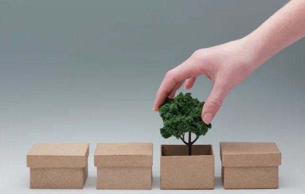 Best Strategies For Going Green With Your Packaging in 2023