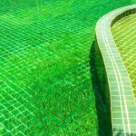 Steps to Make Your Green Pool Clear A Detailed Guide