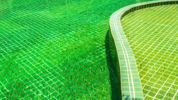 Steps to Make Your Green Pool Clear A Detailed Guide