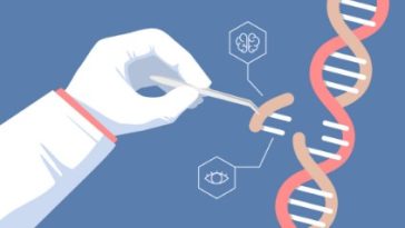 CRISPR Genome Therapy