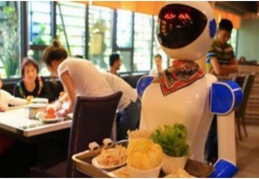 Restaurant Robot Price