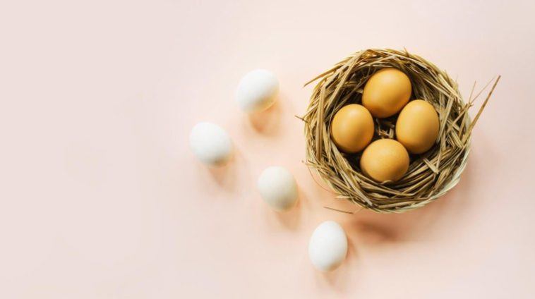 How to Build a Nest Egg for the Future