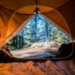 Ways Camping Ignites Socializing and Bonding