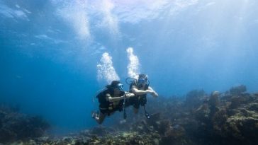 Discovering the Underwater Wonders with Silent World in Key Largo