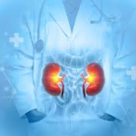 What Are Some Kidney Donation Myths In India?